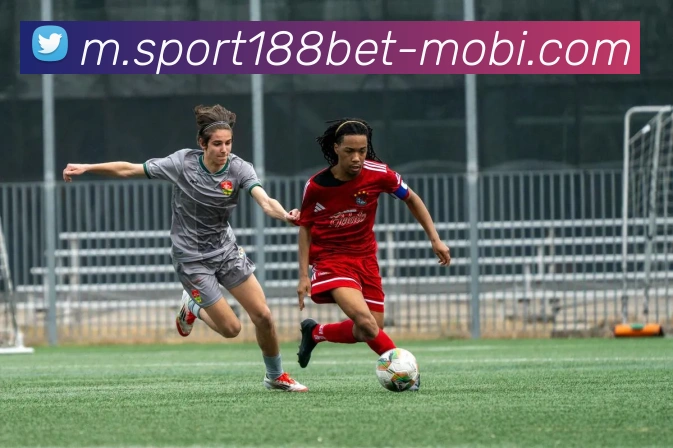 188bet体育平台生态图