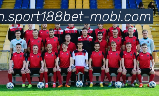 188bet体育APP 封面图